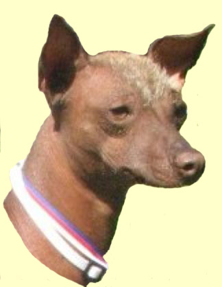 Kony