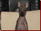 Click for enlargement