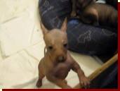 Kliknut�m spust� tuto uk�zku